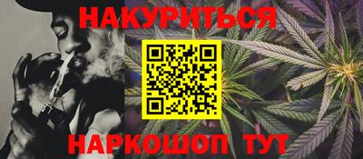 сатива Малгобек