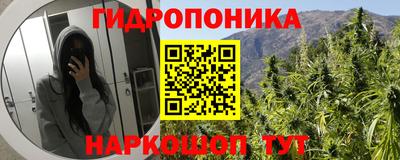 сатива Малгобек