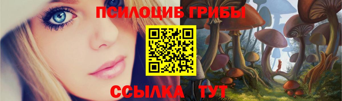 Сорочинск  Псилоцибиновые грибы мицелий  Псилоцибиновые грибы ЛСД  Вход с VPN 